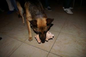 PICT0134