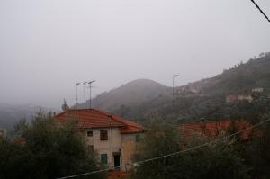 PICT0894-1