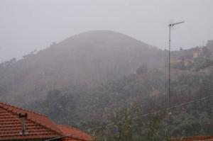 PICT0898