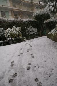 PICT0907