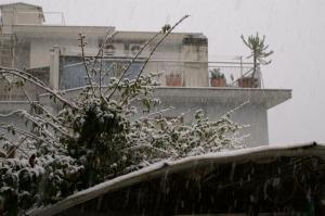 PICT0911