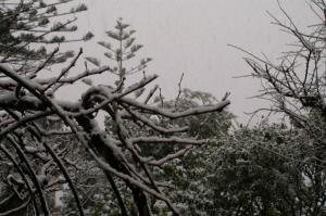 PICT0912-2