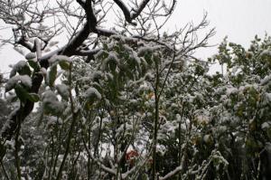 PICT0915