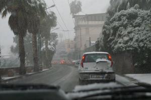 PICT0919-1