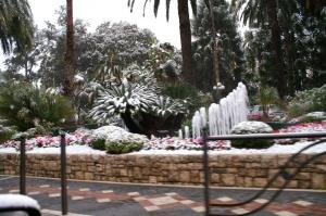 PICT0920-2