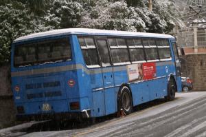 PICT0929-2