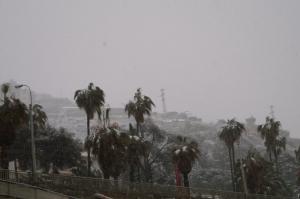 PICT0941-1
