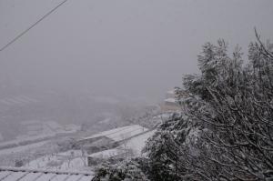 PICT0948-2